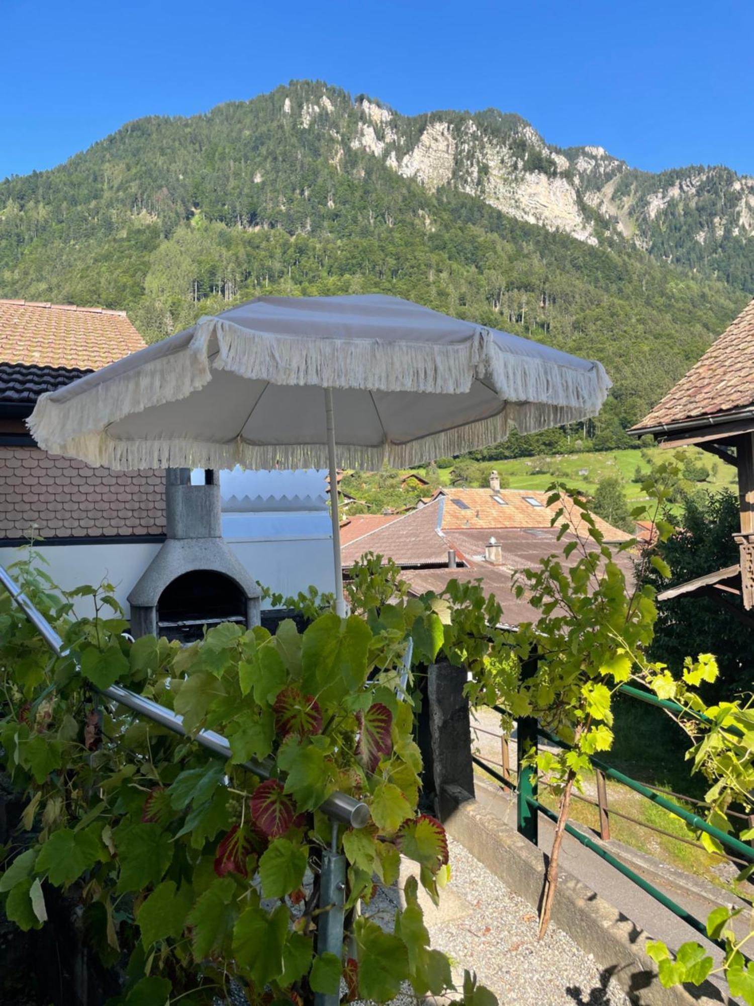Studio In Alps By Apartments Capricorn Gsteigwiler Zewnętrze zdjęcie